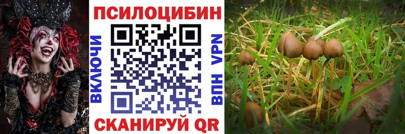 Псилоцибиновые грибы Cubensis  Химки 